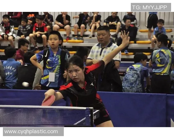 刘磊回顾乒乓球辉煌历程与心路历程的专访分享